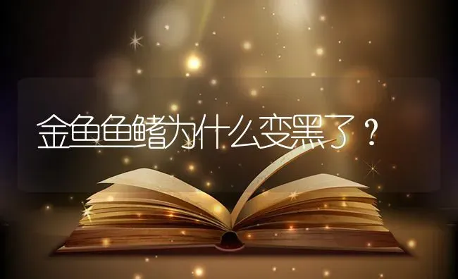 金鱼鱼鳍为什么变黑了？ | 鱼类宠物饲养