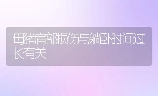 江苏兴化市竹泓镇落实夏季预防鱼池缺氧技术管理措施 | 海水养殖技术