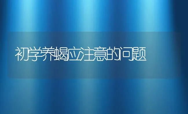 初学养蝎应注意的问题 | 动物养殖饲料