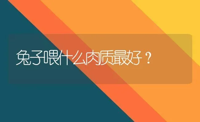 兔子喂什么肉质最好？ | 动物养殖问答