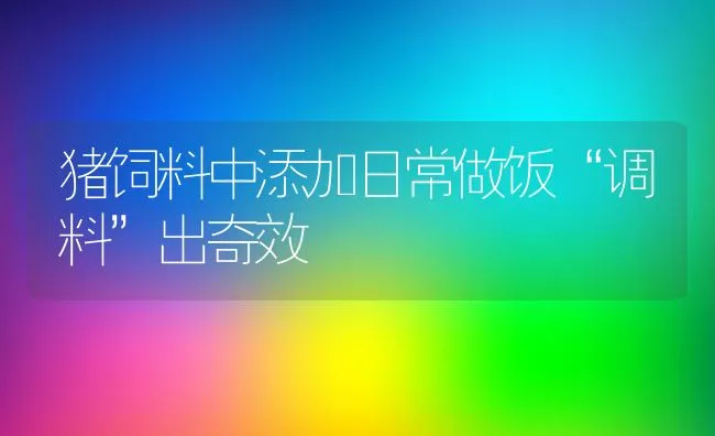 猪饲料中添加日常做饭“调料”出奇效 | 动物养殖饲料