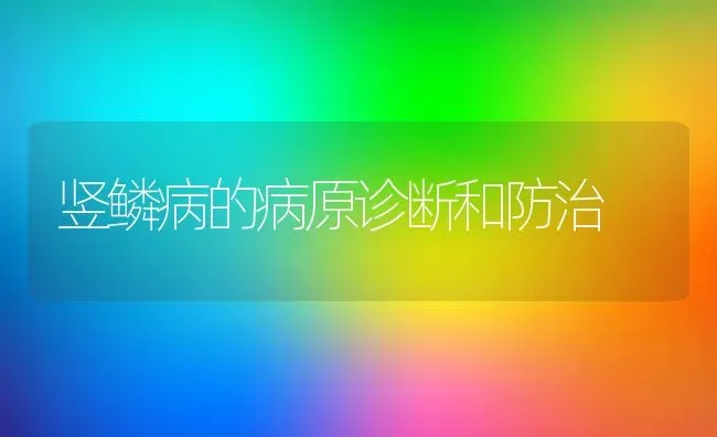 竖鳞病的病原诊断和防治 | 动物养殖百科