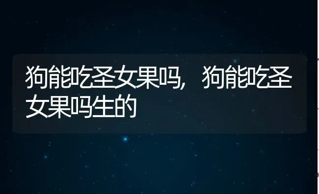 狗能吃圣女果吗,狗能吃圣女果吗生的 | 宠物百科知识