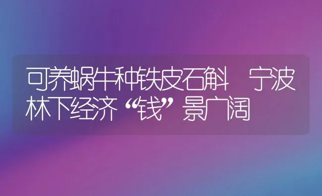 可养蜗牛种铁皮石斛 宁波林下经济“钱”景广阔 | 动物养殖教程