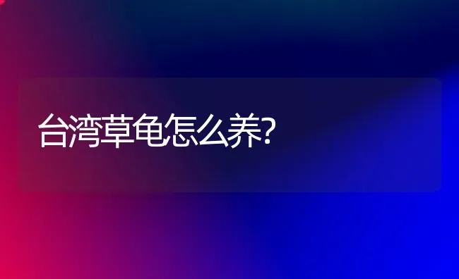 台湾草龟怎么养？ | 动物养殖问答