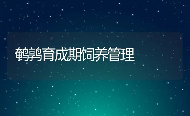 鹌鹑育成期饲养管理 | 动物养殖学堂