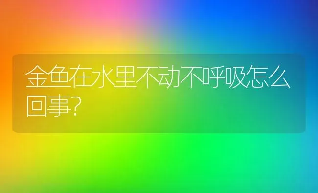 金鱼在水里不动不呼吸怎么回事？ | 鱼类宠物饲养