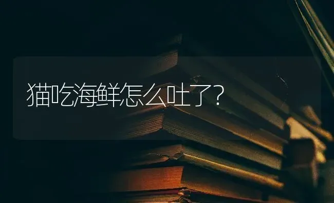 猫吃海鲜怎么吐了？ | 动物养殖问答