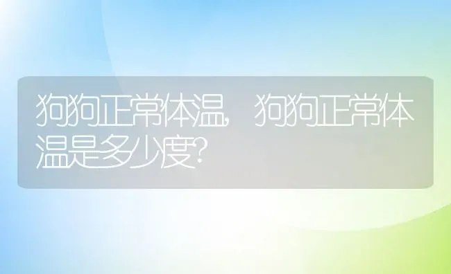 狗狗正常体温,狗狗正常体温是多少度? | 宠物百科知识