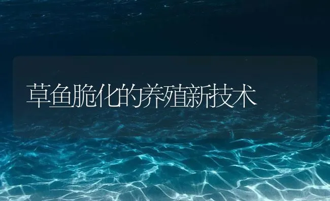 草鱼脆化的养殖新技术 | 海水养殖技术