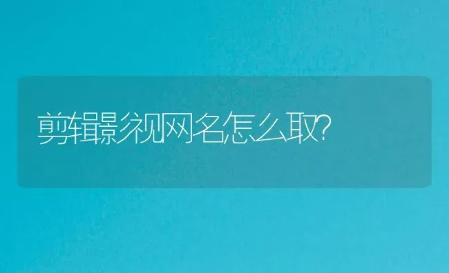 剪辑影视网名怎么取？ | 鱼类宠物饲养