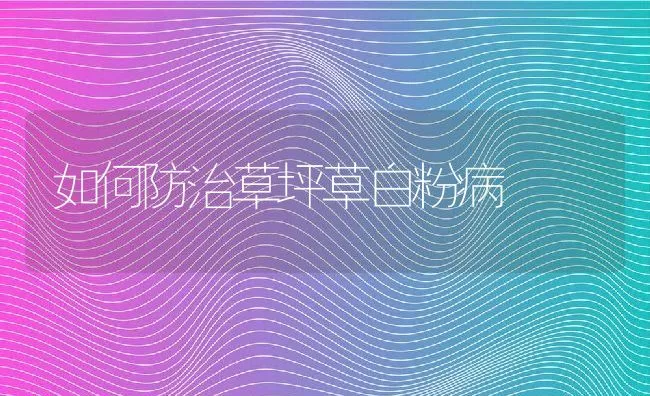 如何防治草坪草白粉病 | 水产养殖知识