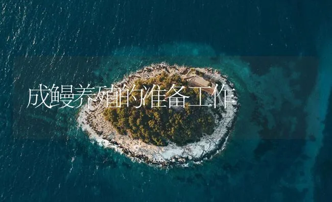 成鳗养殖的准备工作 | 海水养殖技术