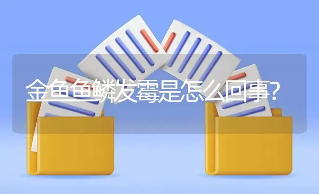 金鱼鱼鳞发霉是怎么回事？ | 鱼类宠物饲养