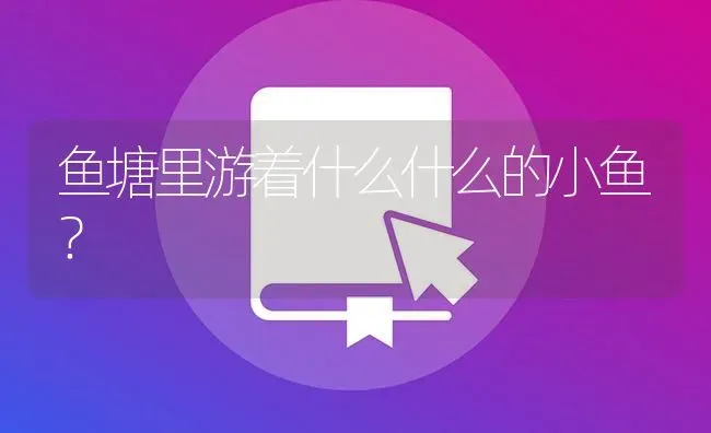 鱼塘里游着什么什么的小鱼？ | 鱼类宠物饲养