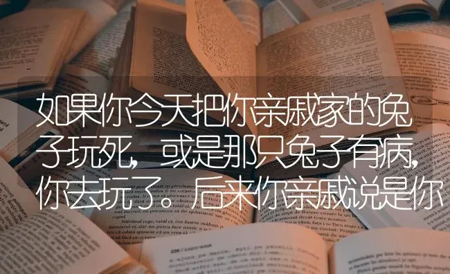 如果你今天把你亲戚家的兔子玩死，或是那只兔子有病，你去玩了。后来你亲戚说是你弄死的？ | 动物养殖问答