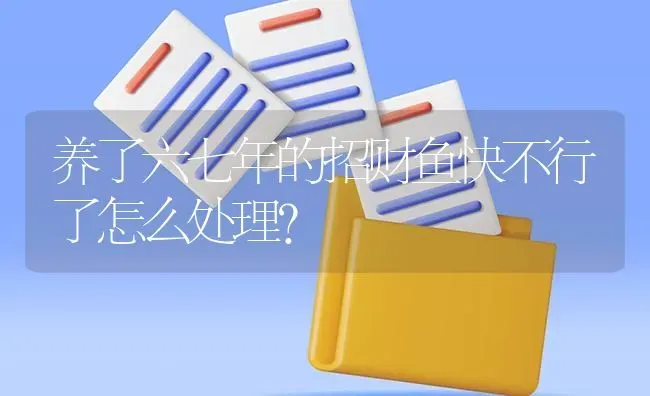 养了六七年的招财鱼快不行了怎么处理？ | 鱼类宠物饲养