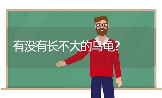 有没有长不大的乌龟？ | 动物养殖问答