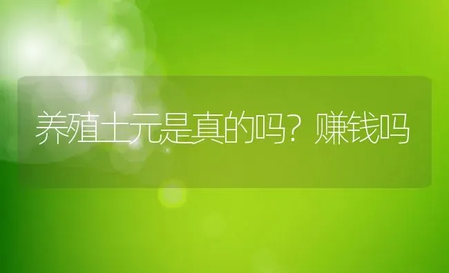 养殖土元是真的吗？赚钱吗 | 动物养殖百科