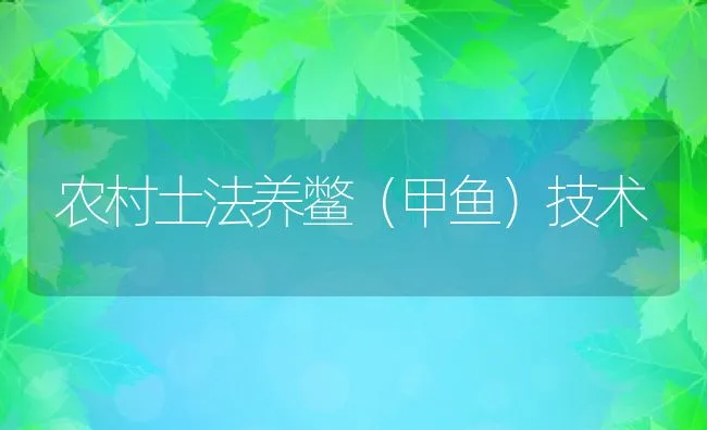 怎样让高产奶牛安然度夏 | 动物养殖学堂