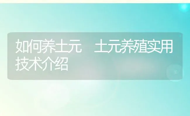 如何养土元 土元养殖实用技术介绍 | 动物养殖百科