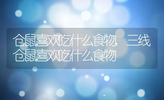 仓鼠喜欢吃什么食物,三线仓鼠喜欢吃什么食物 | 宠物百科知识