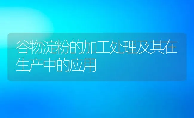 谷物淀粉的加工处理及其在生产中的应用 | 动物养殖学堂