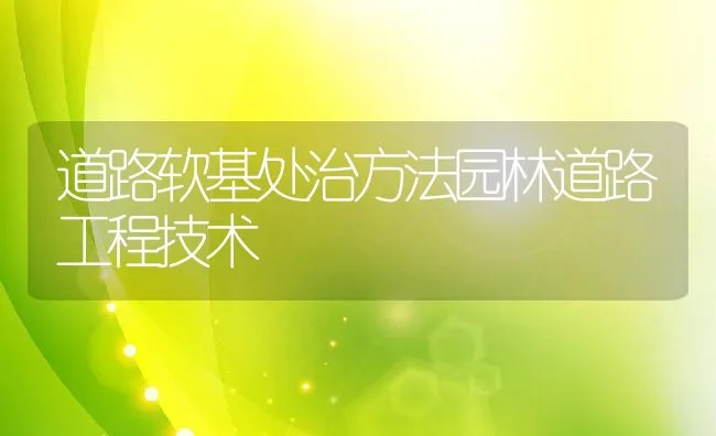 道路软基处治方法园林道路工程技术 | 水产养殖知识