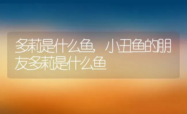 多莉是什么鱼,小丑鱼的朋友多莉是什么鱼 | 宠物百科知识