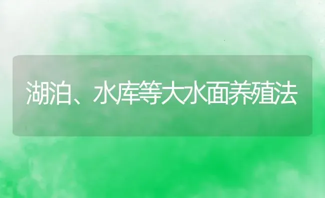 湖泊、水库等大水面养殖法 | 动物养殖百科