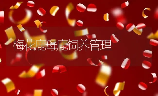 梅花鹿母鹿饲养管理 | 动物养殖学堂