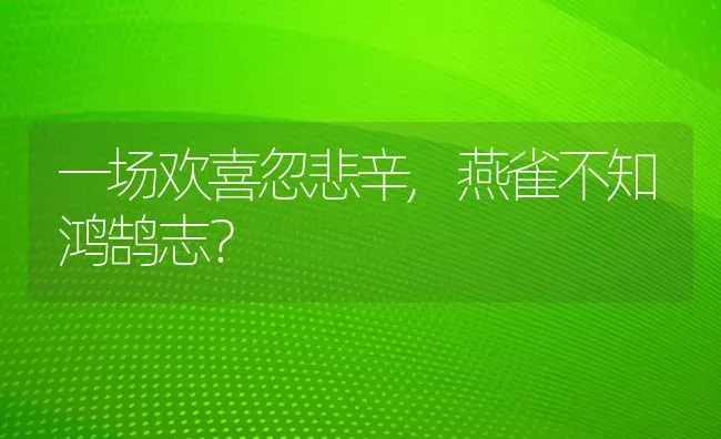 一场欢喜忽悲辛,燕雀不知鸿鹄志？ | 动物养殖问答