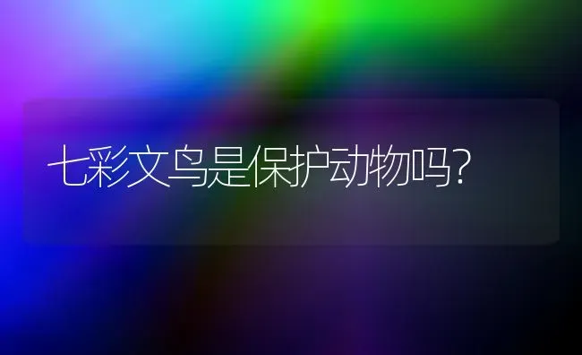 七彩文鸟是保护动物吗？ | 动物养殖问答