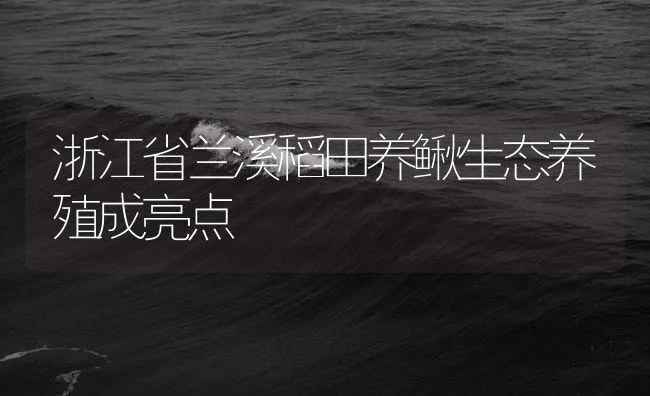 浙江省兰溪稻田养鳅生态养殖成亮点 | 海水养殖技术