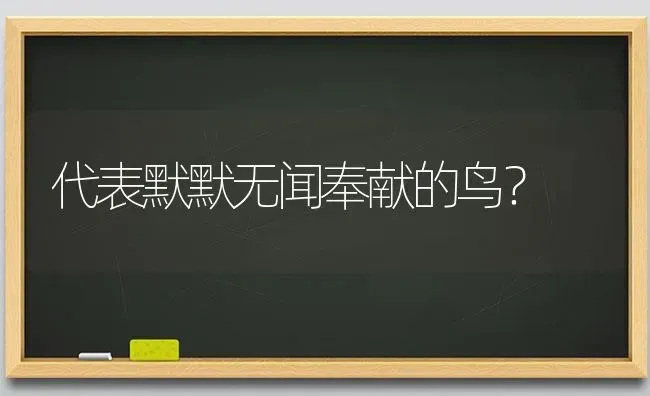 代表默默无闻奉献的鸟？ | 动物养殖问答