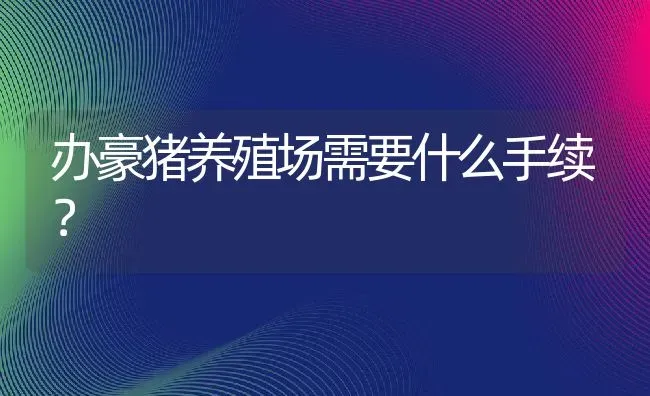 办豪猪养殖场需要什么手续？ | 动物养殖百科