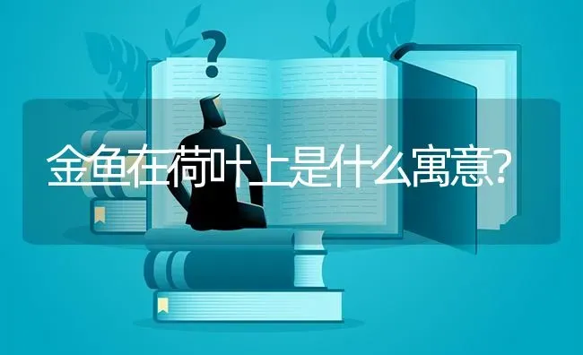 金鱼在荷叶上是什么寓意？ | 鱼类宠物饲养