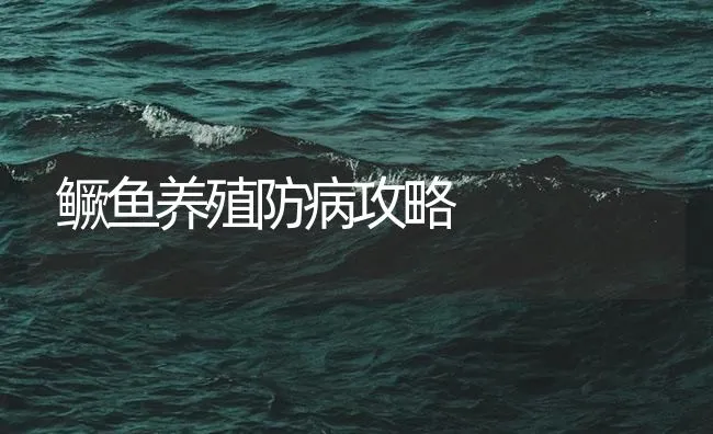 鳜鱼养殖防病攻略 | 海水养殖技术