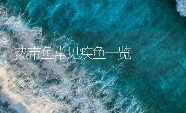 热带鱼常见疾鱼一览 | 海水养殖技术