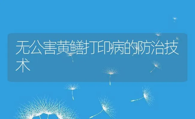 无公害黄鳝打印病的防治技术 | 动物养殖学堂