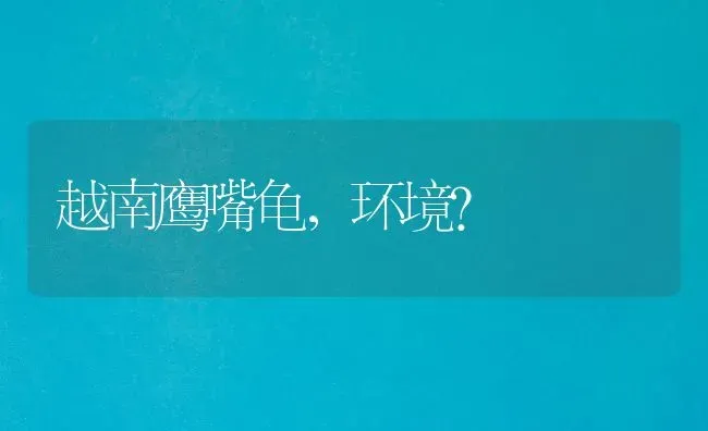 越南鹰嘴龟，环境？ | 动物养殖问答