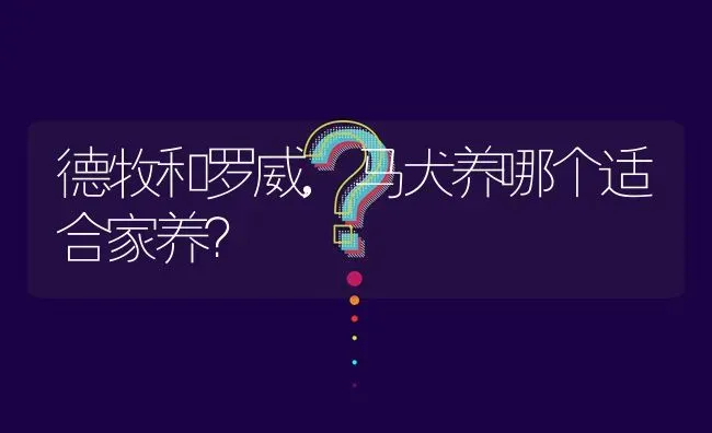 德牧和罗威,马犬养哪个适合家养？ | 动物养殖问答