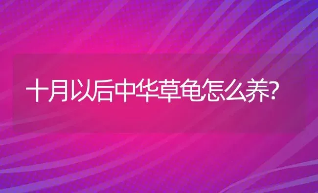 十月以后中华草龟怎么养？ | 动物养殖问答