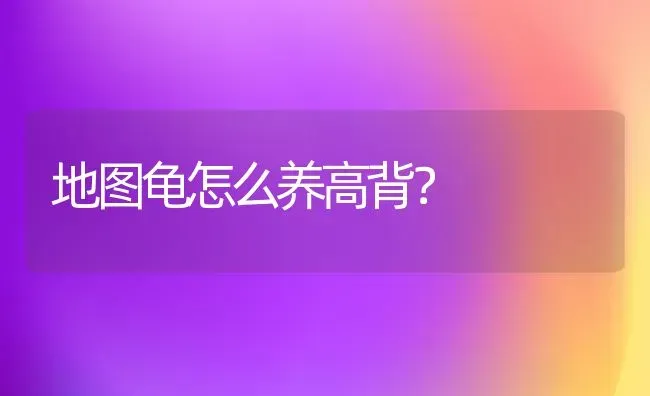 狐狸的狸念几声?谁知道准确的答案？ | 动物养殖问答