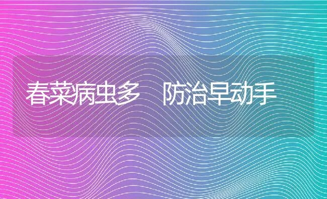 春菜病虫多 防治早动手 | 动物养殖学堂