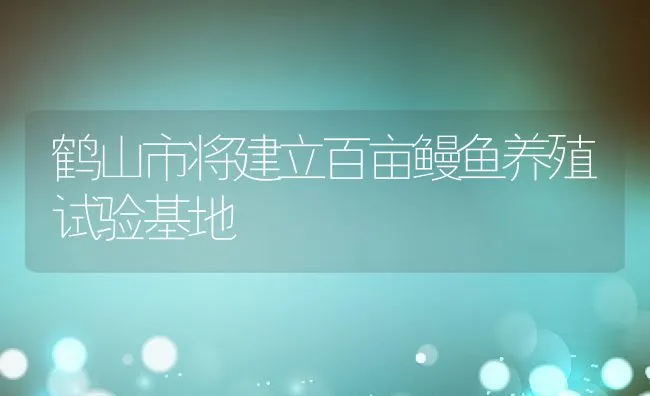 鹤山市将建立百亩鳗鱼养殖试验基地 | 动物养殖饲料