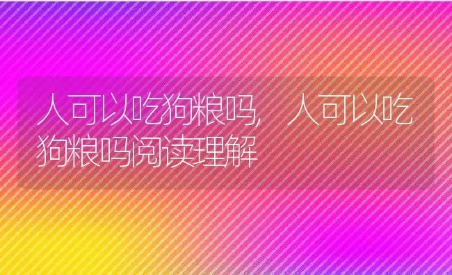 人可以吃狗粮吗,人可以吃狗粮吗阅读理解 | 宠物百科知识