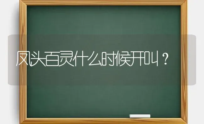 凤头百灵什么时候开叫？ | 动物养殖问答