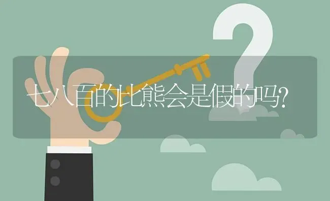 七八百的比熊会是假的吗？ | 动物养殖问答