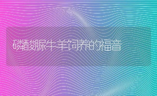 磷酸脲牛羊饲养的福音 | 动物养殖学堂